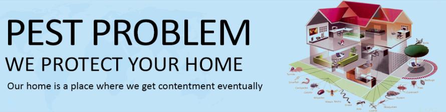 Maa Tara Pest Solution
